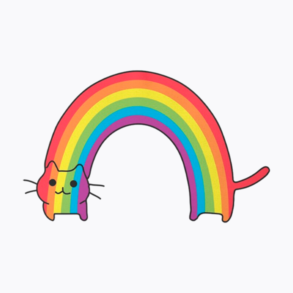 Rainbow Cat Cropped T-Shirts
