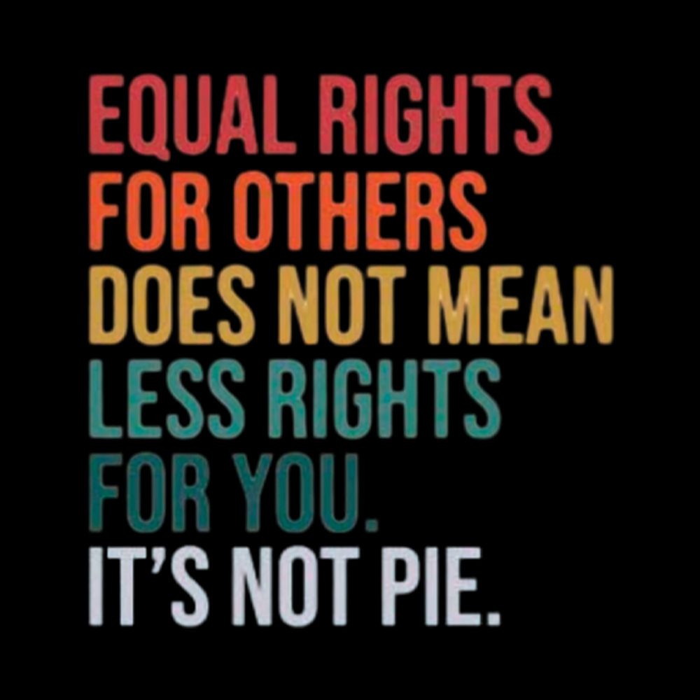 Equal Rights for Others Does Not Mean Less Rights for You Washed T-Shirt