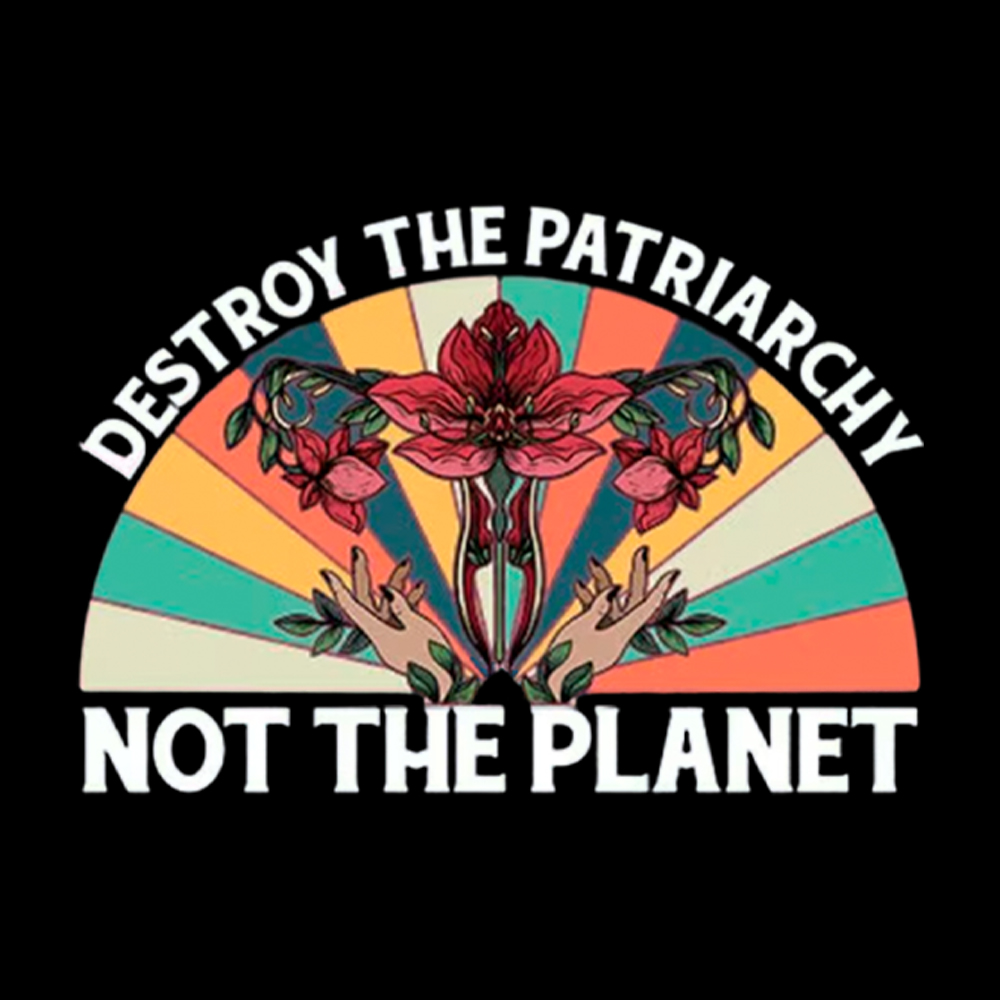 Destroy The Patriarchy Feminist Rights Cropped T-Shirts