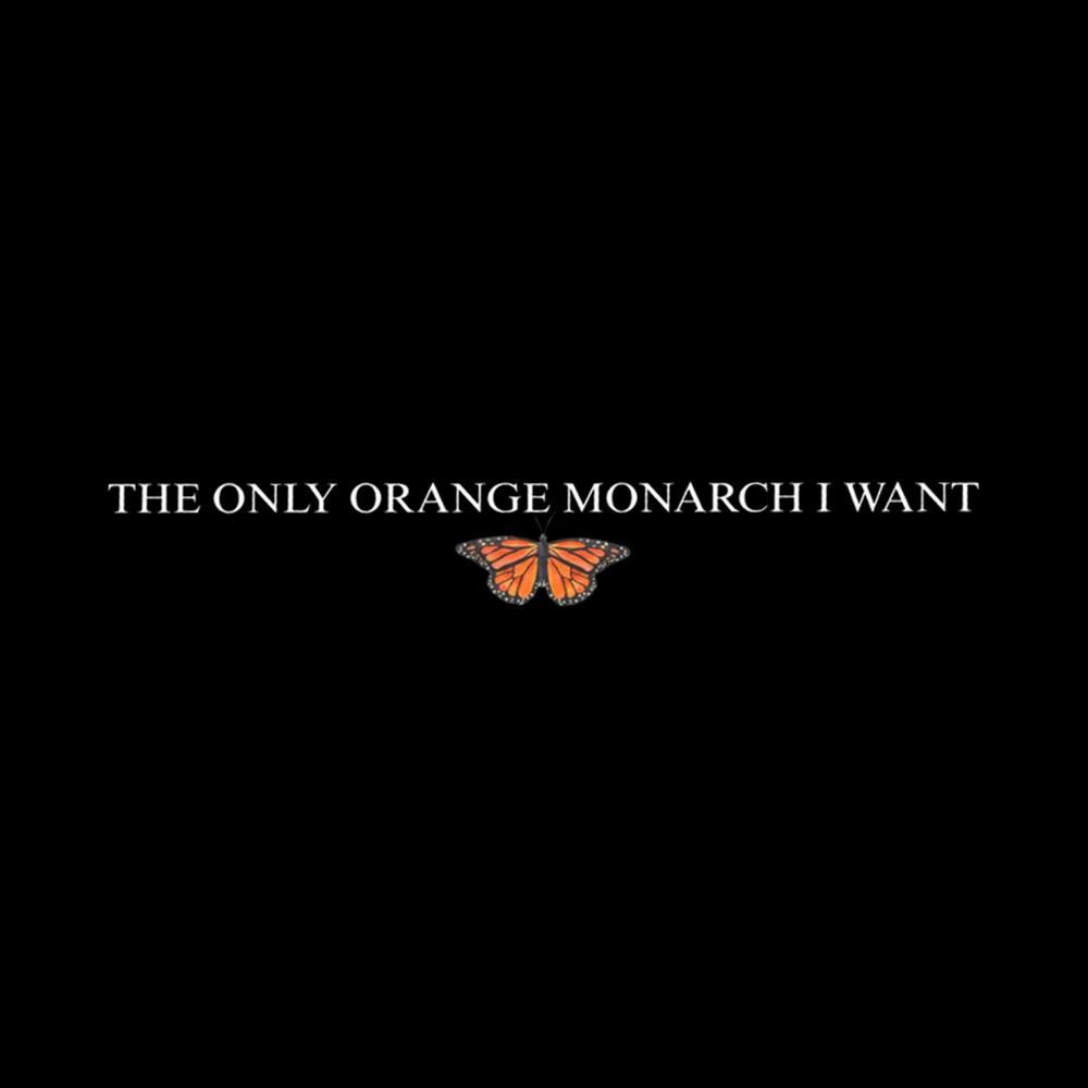 The Only Orange Monarch Butterfly I Want Cropped T-Shirts
