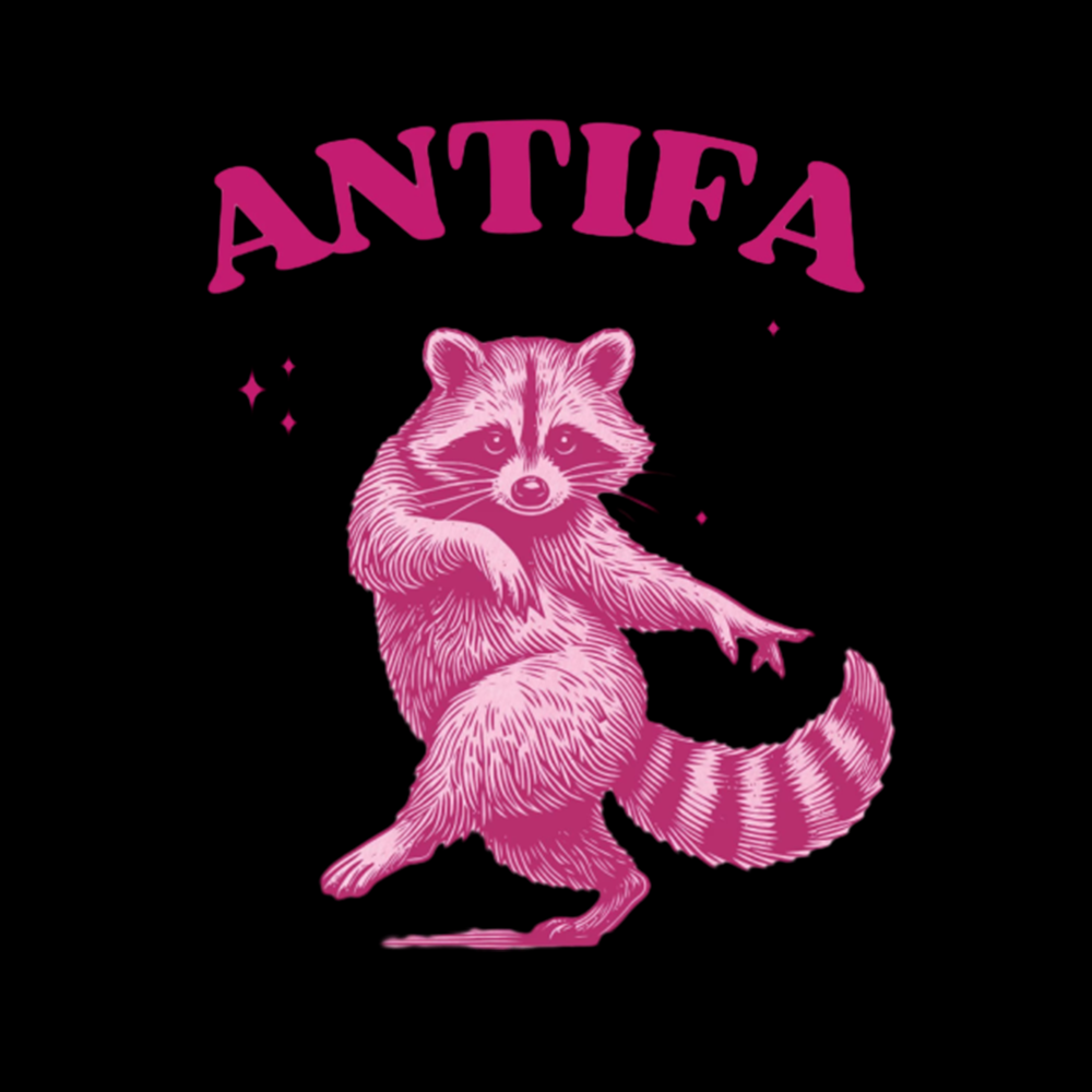 Raccoon Meme Cropped T-Shirt