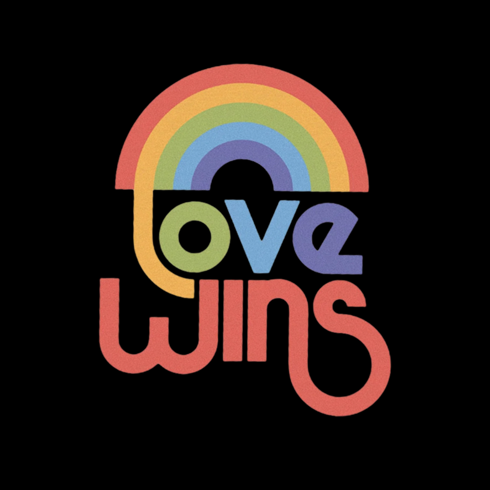 Love Wins Cropped T-Shirt