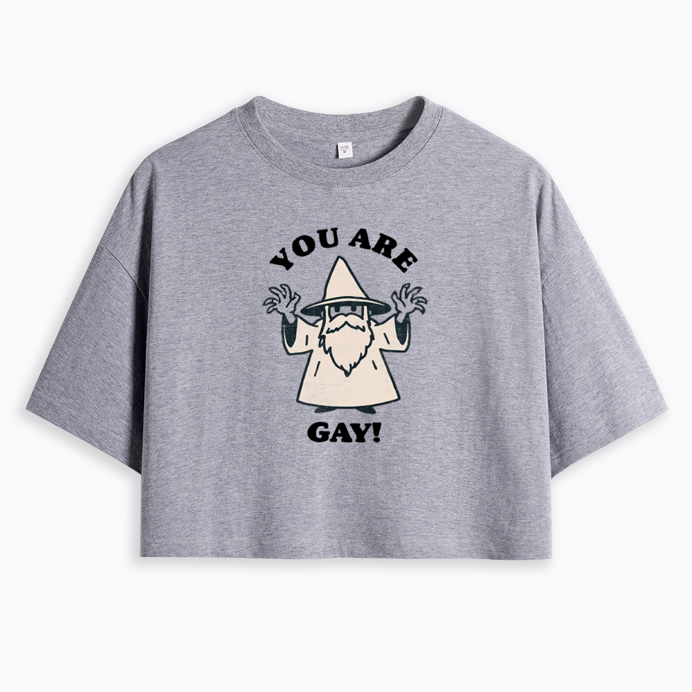 You Are Gay Cropped T-Shirt