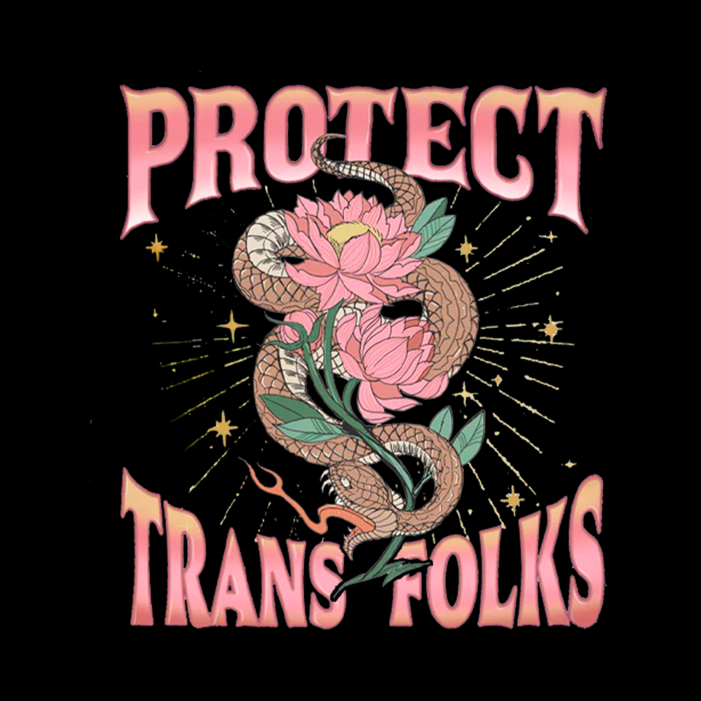 Protect Trans Folks V-Neck Classic T-Shirt