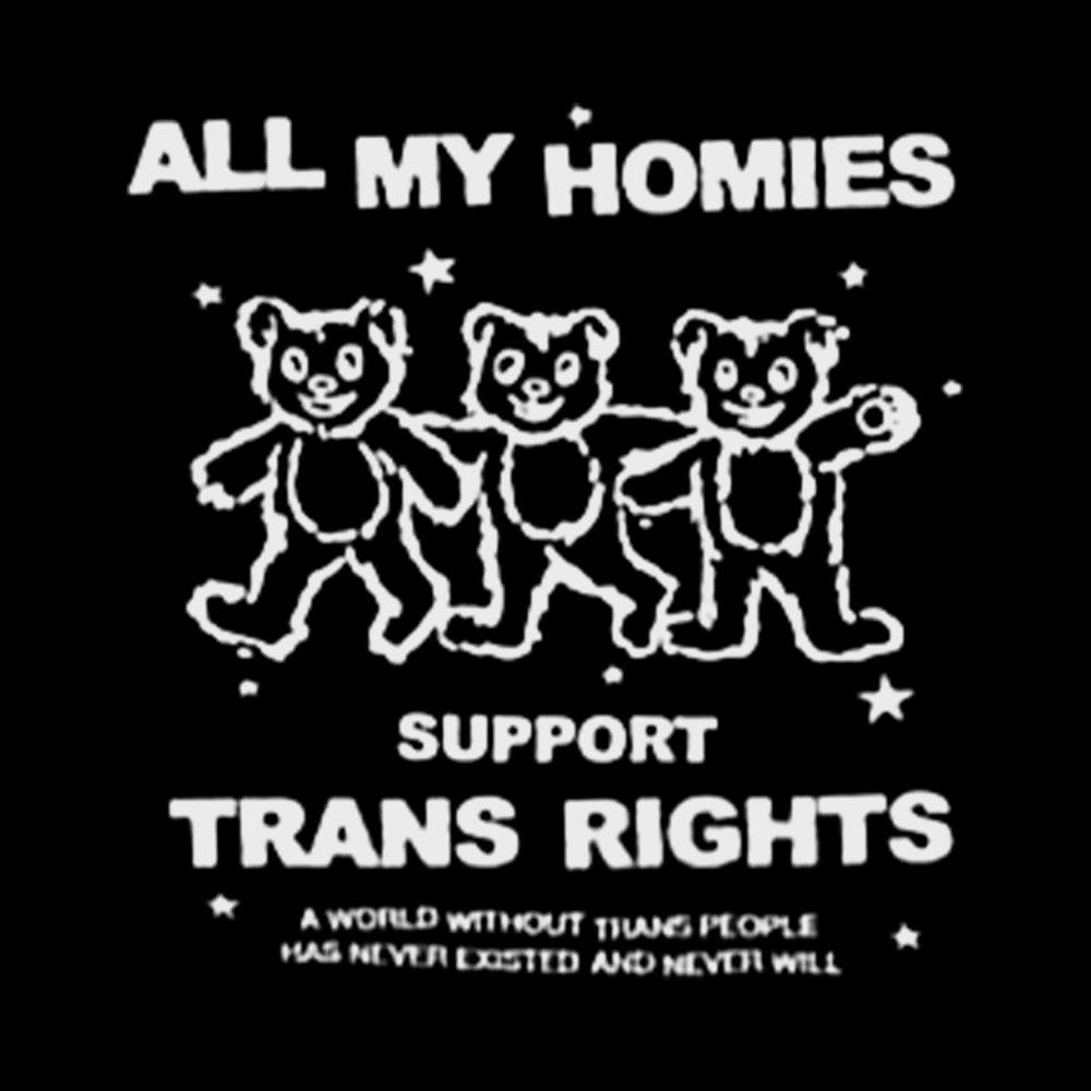 Respect Trans Rights Classic T-Shirt