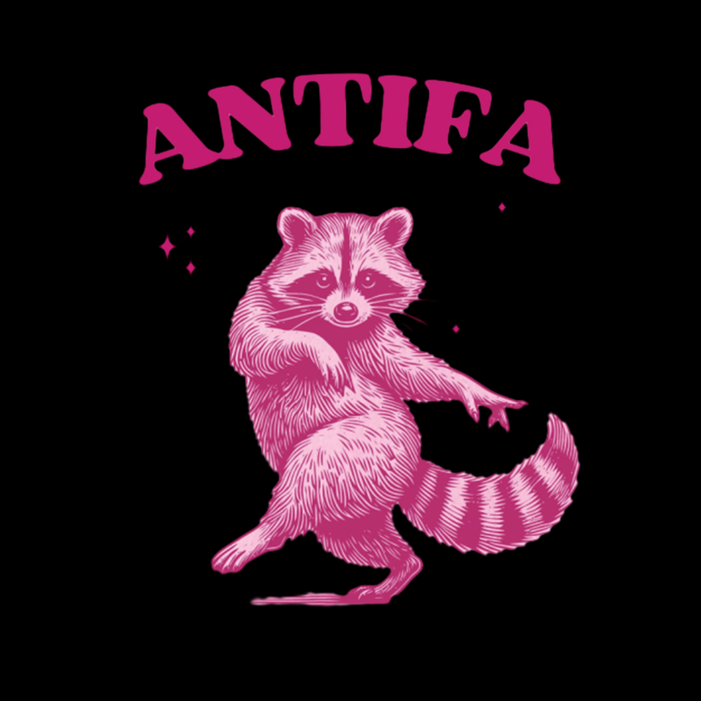 Raccoon Meme Classic T-Shirt