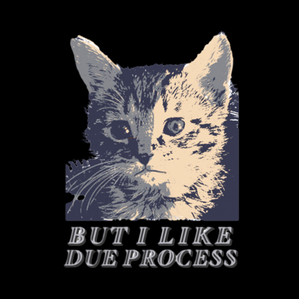 But I Like Due Process cat Classic T-Shirt