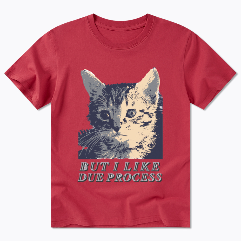 But I Like Due Process cat Classic T-Shirt