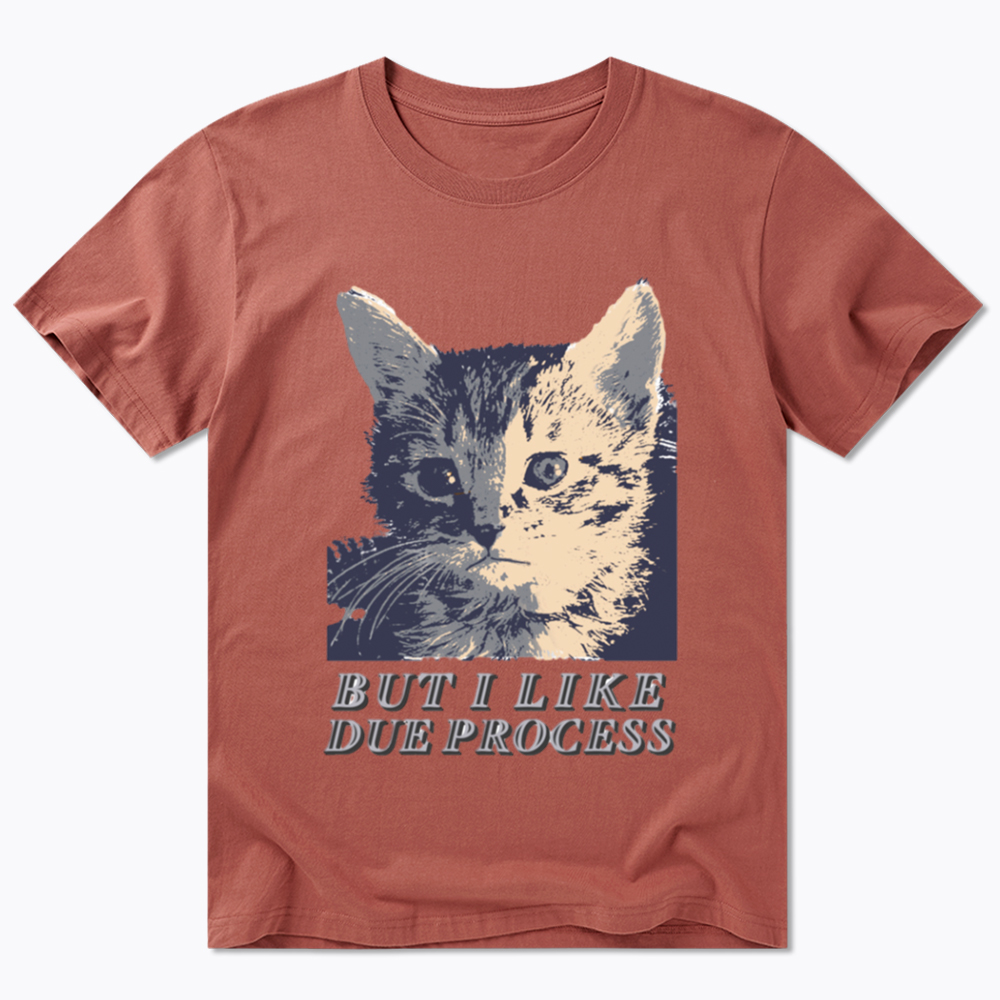But I Like Due Process cat Classic T-Shirt
