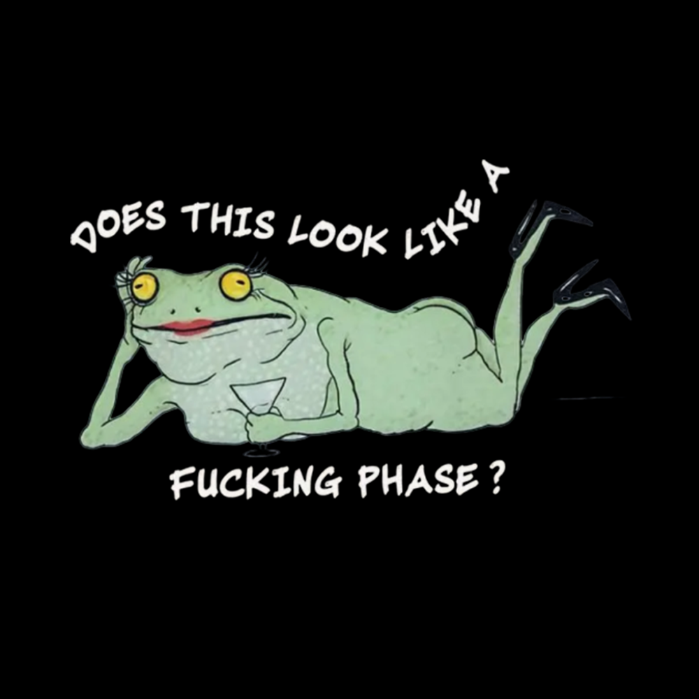 Funny LGBT Pride Frog Meme Classic T-Shirt
