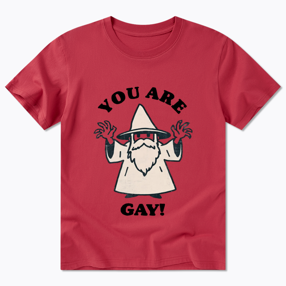 You Are Gay Classic T-Shirt