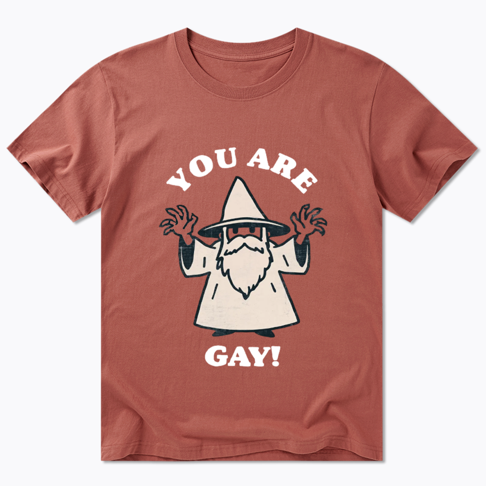 You Are Gay Classic T-Shirt