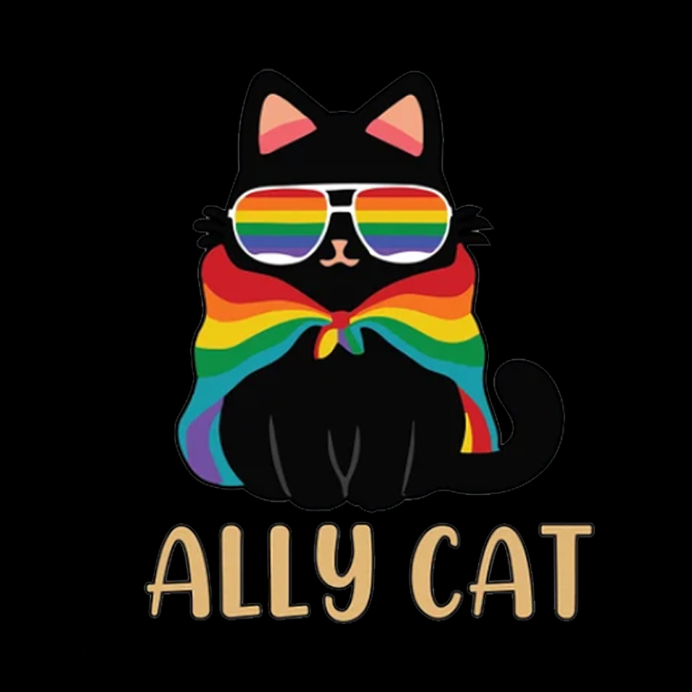 Pride Ally Cat Kids Washed T-Shirts