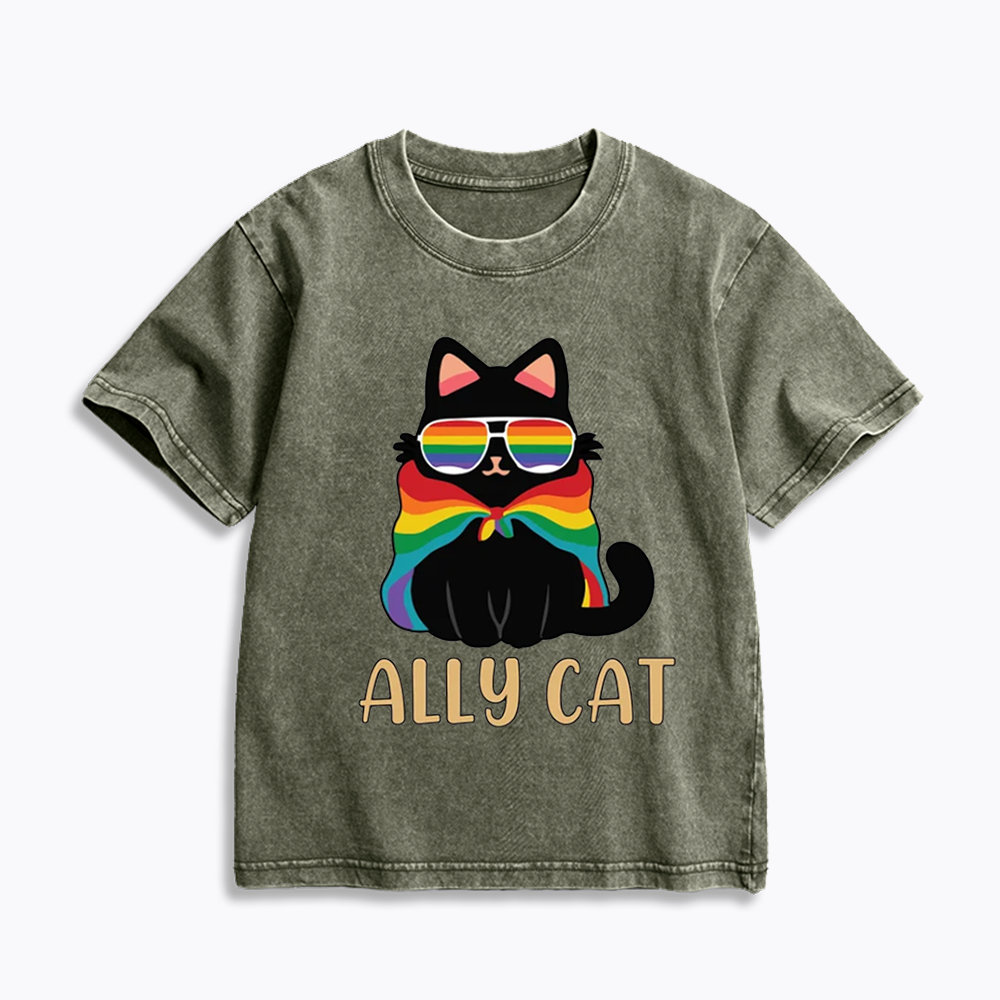 Pride Ally Cat Kids Washed T-Shirts