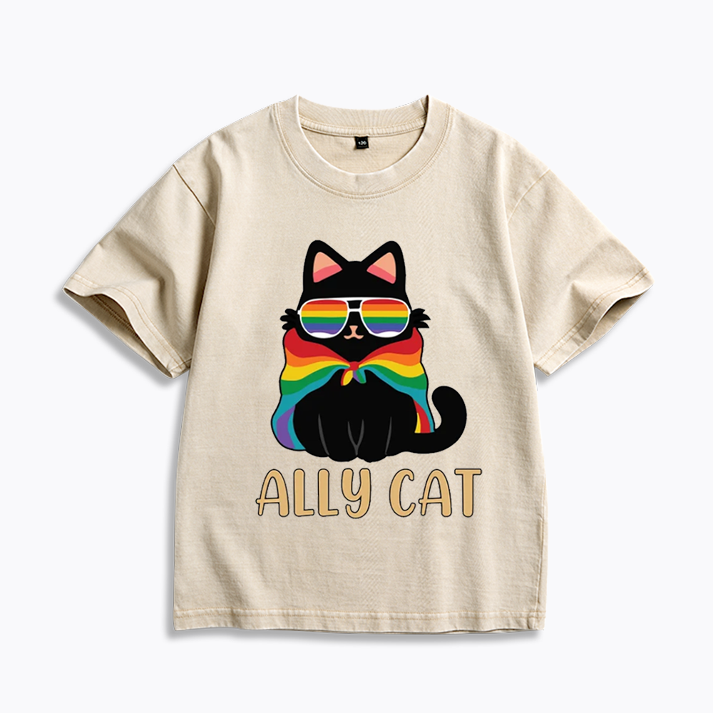 Pride Ally Cat Kids Washed T-Shirts