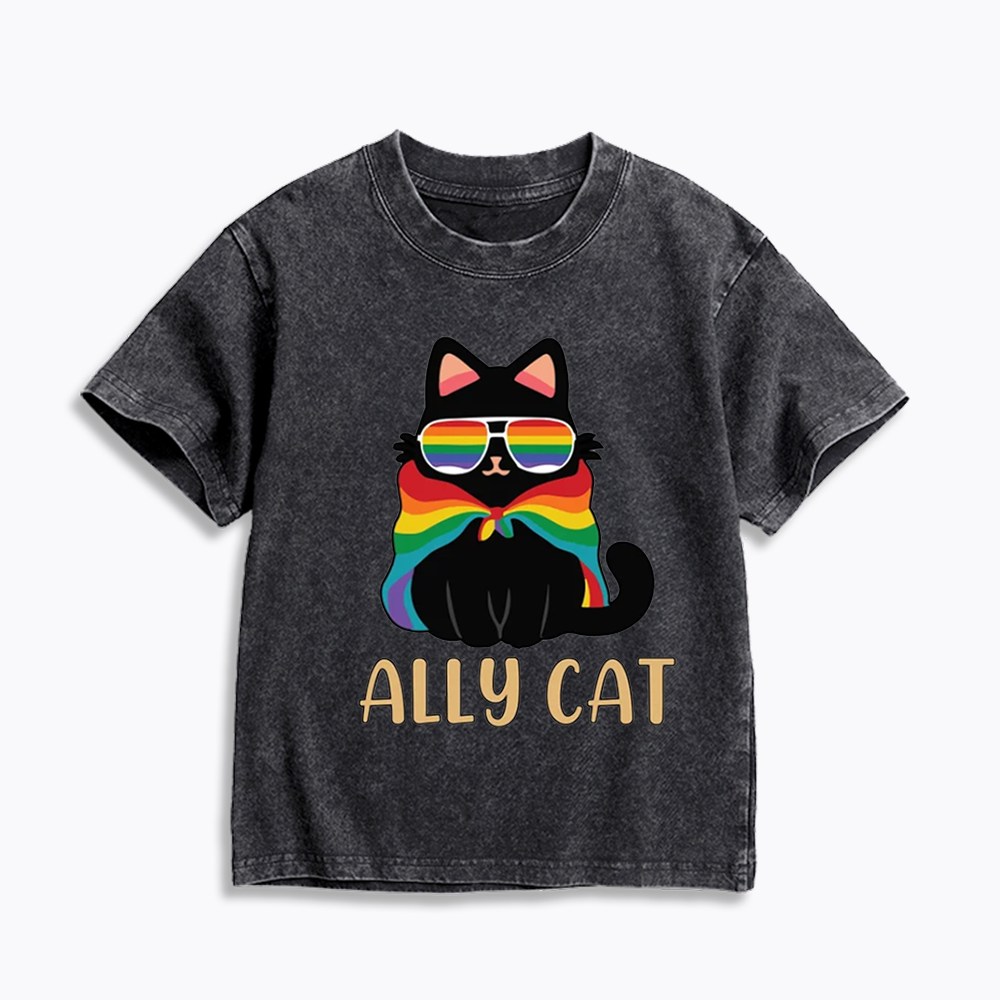 Pride Ally Cat Kids Washed T-Shirts