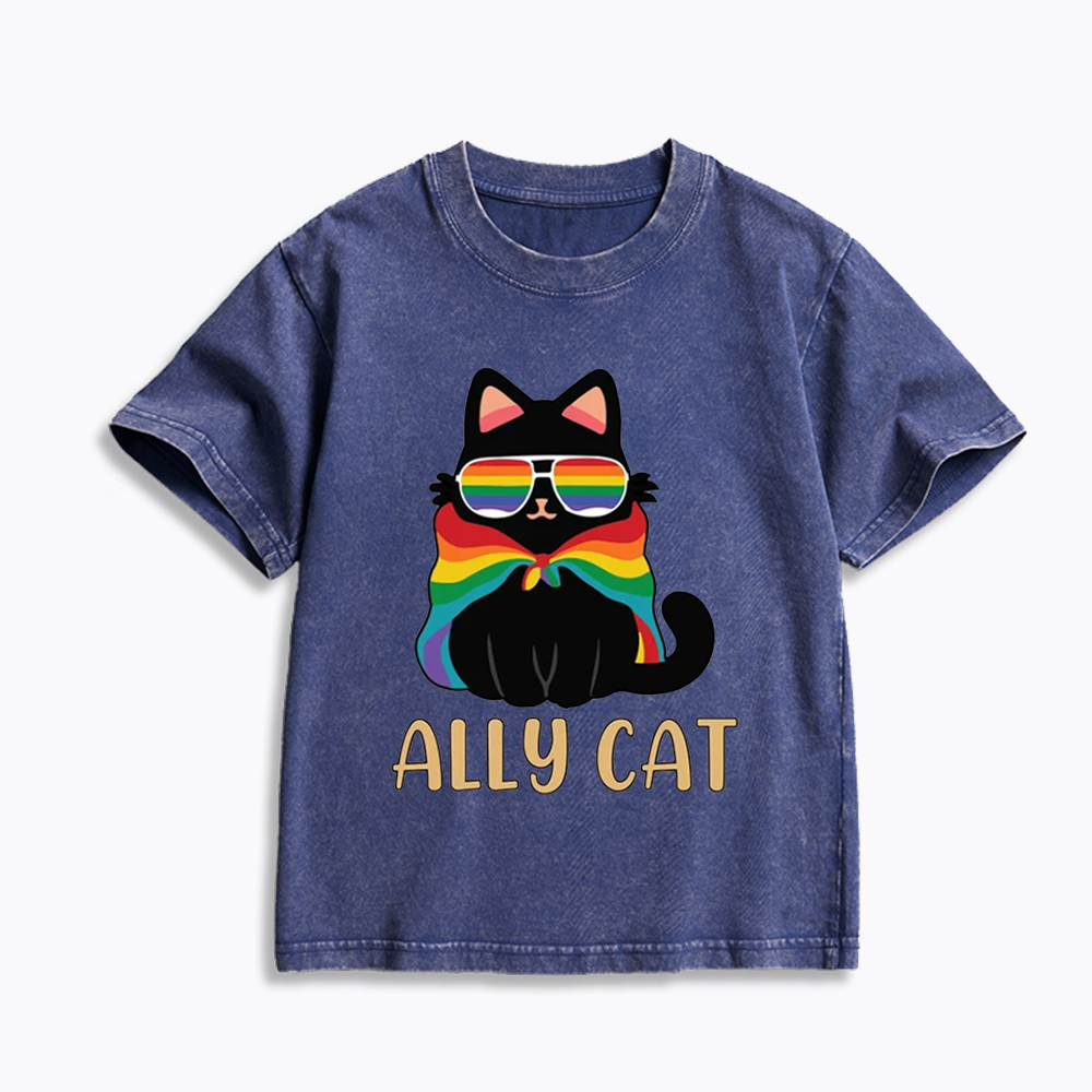 Pride Ally Cat Kids Washed T-Shirts