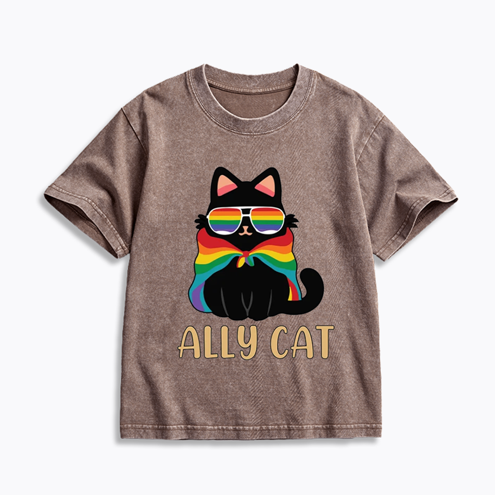 Pride Ally Cat Kids Washed T-Shirts