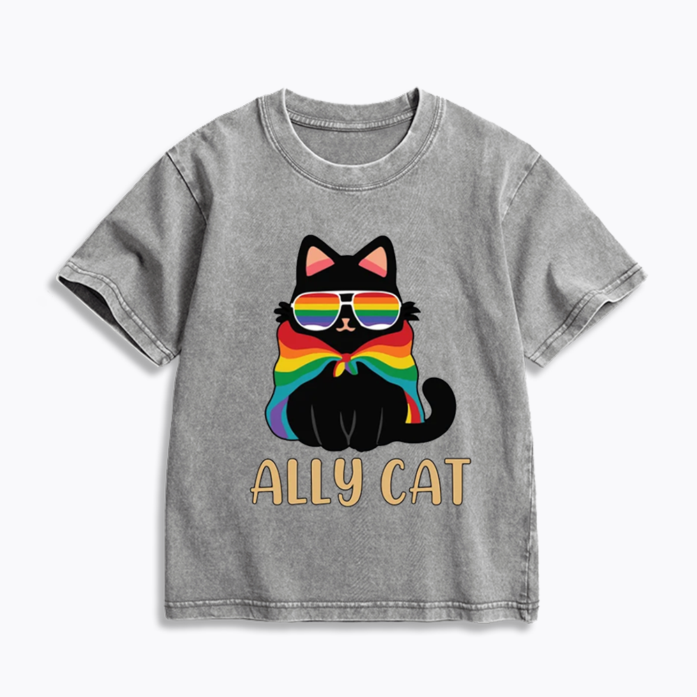 Pride Ally Cat Kids Washed T-Shirts