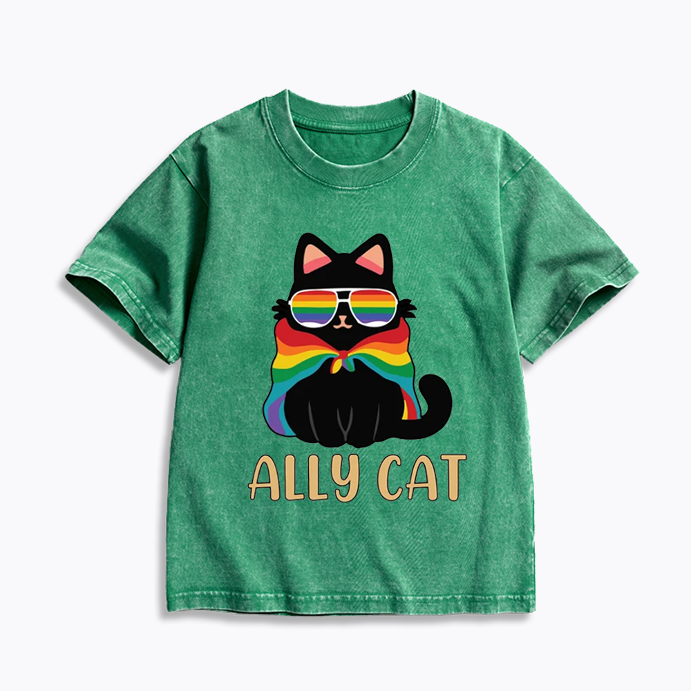 Pride Ally Cat Kids Washed T-Shirts