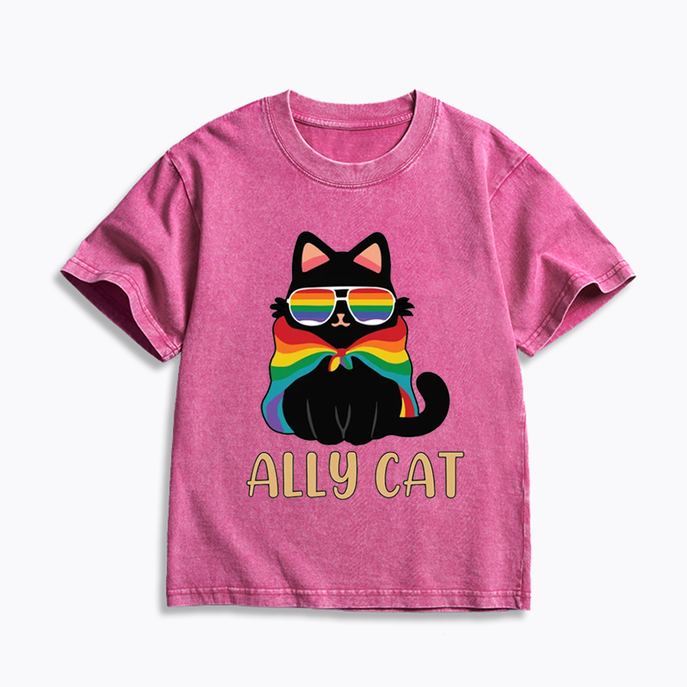 Pride Ally Cat Kids Washed T-Shirts