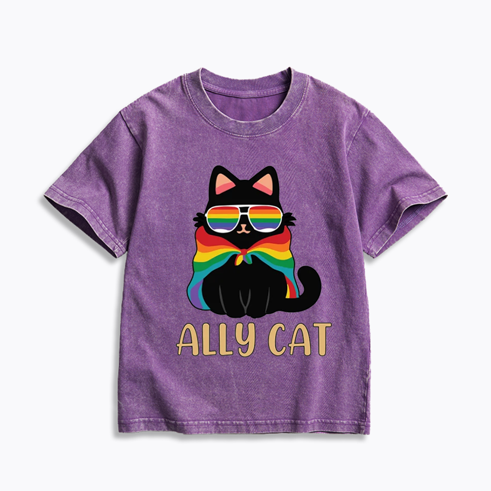 Pride Ally Cat Kids Washed T-Shirts