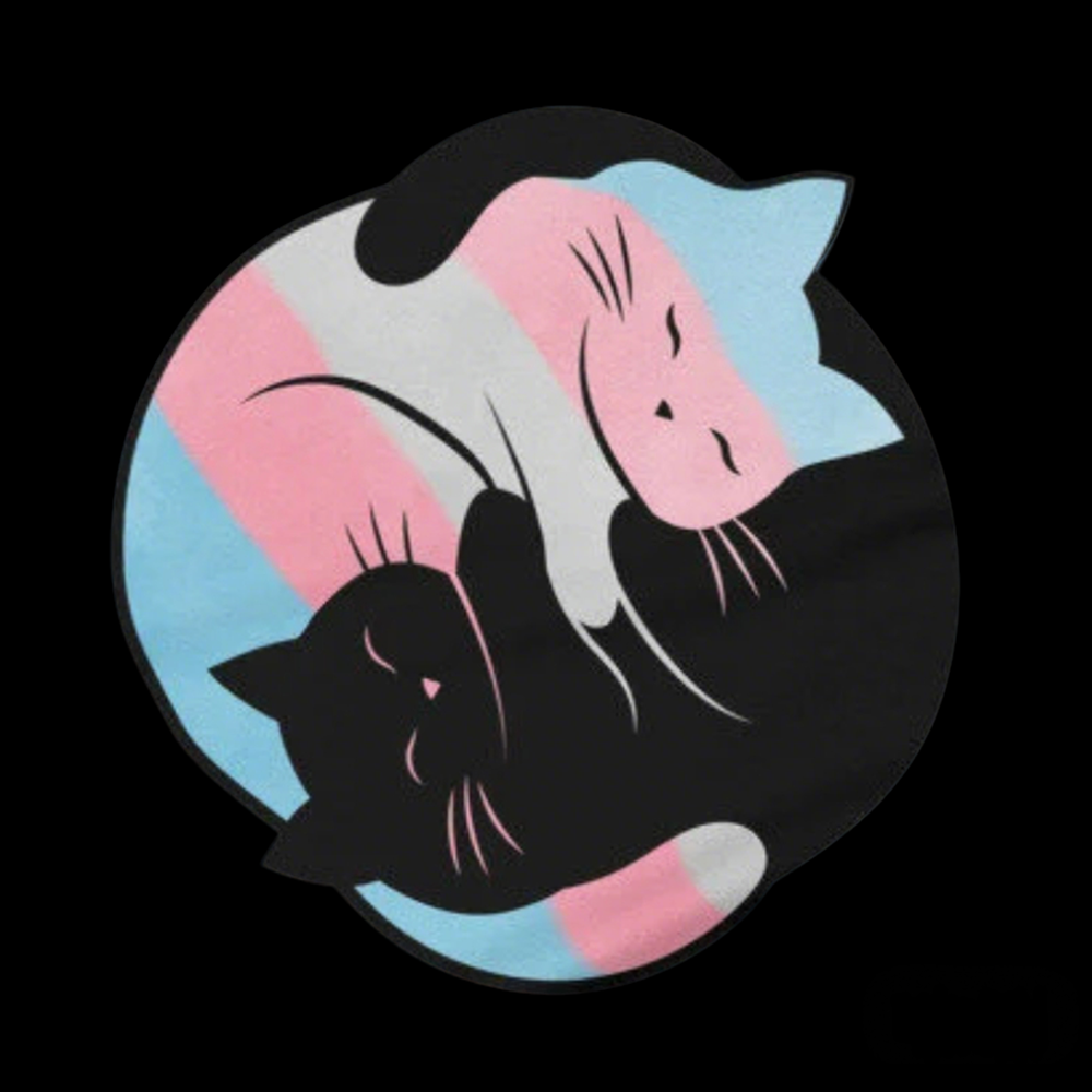 Yin Yang Cat Kids Washed T-Shirts