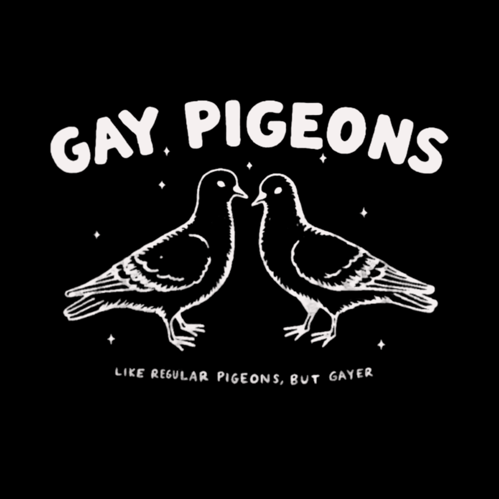 Gay Pigeons Kids Washed T-Shirts