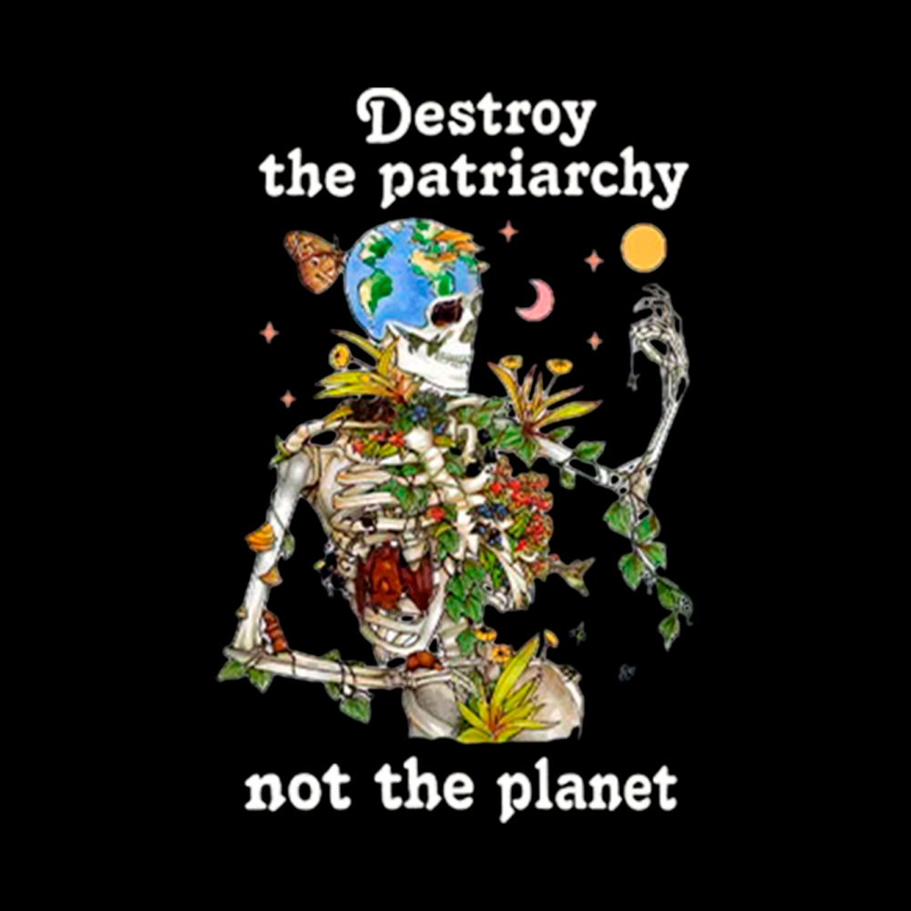 Destroy the Patriarchy Cropped T-Shirt