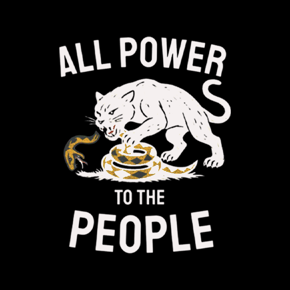 Power to the People Black Panther Party Kids Washed T-Shirts