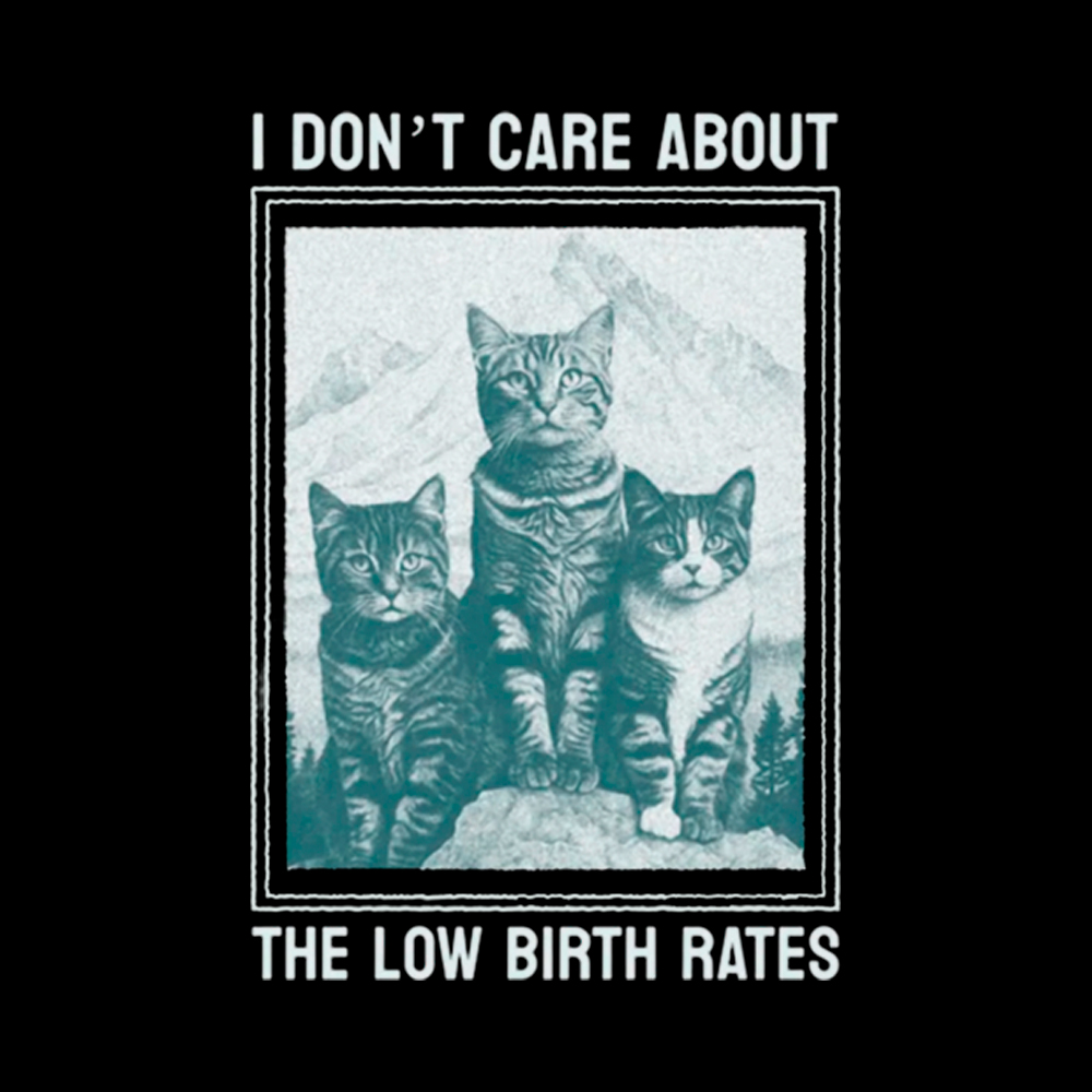 I Don't Care About The Low Birth Rates Cropped T-Shirt