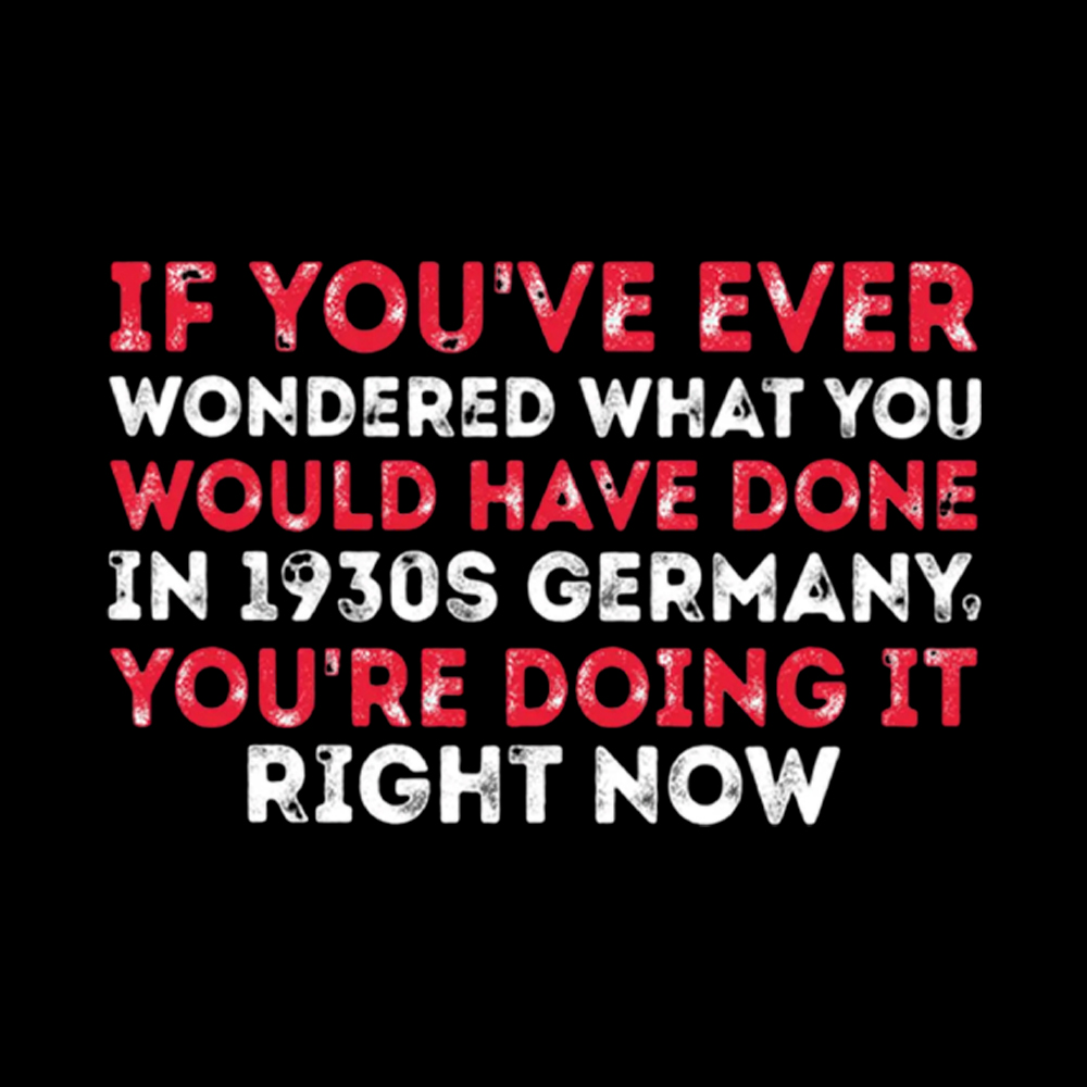 1930s Germany If You Wondered Statement Cropped T-Shirt