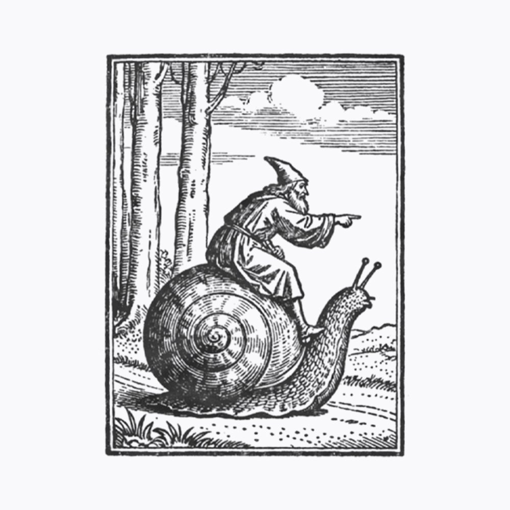 Medieval Snail Rider Cropped T-Shirt