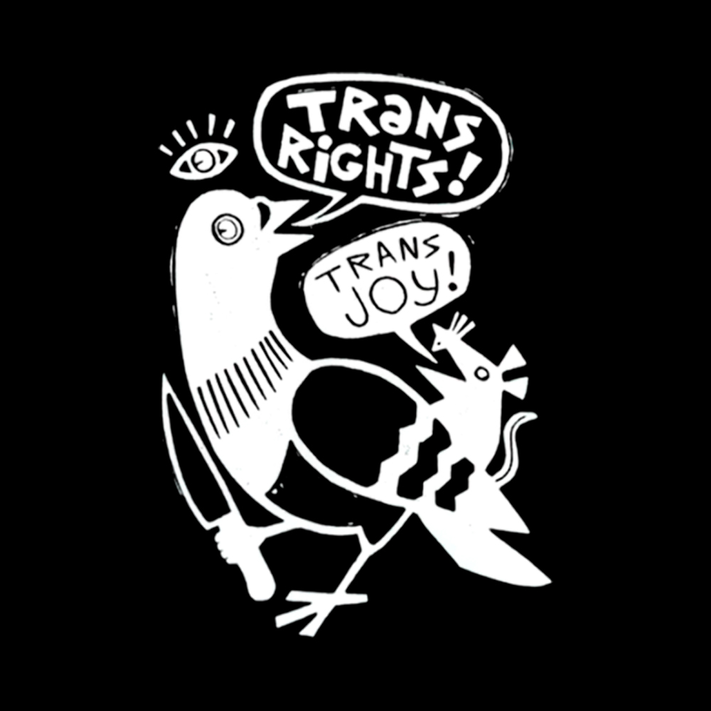 Trans Rights Pigeon and Trans Joy Rat Cropped T-Shirt