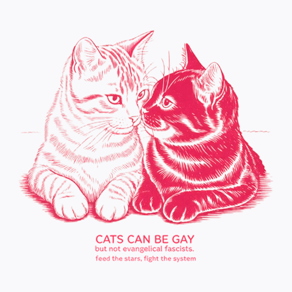 Cat Can Be Gay Cropped T-Shirt