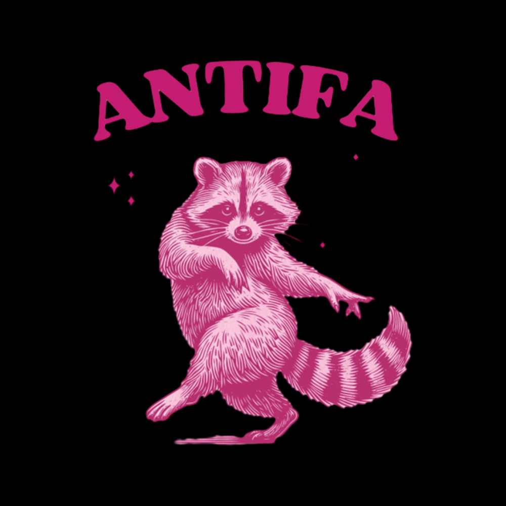 Raccoon Meme Off Shoulder T-shirt