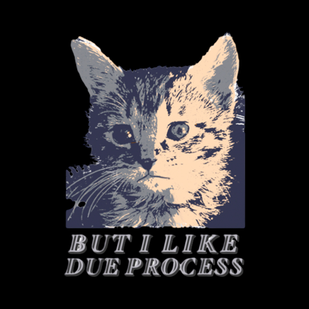 But I Like Due Process cat Off Shoulder T-Shirt