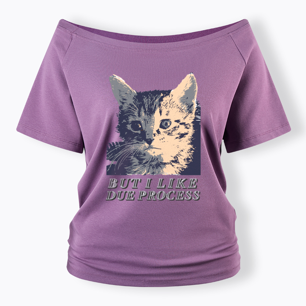 But I Like Due Process cat Off Shoulder T-Shirt