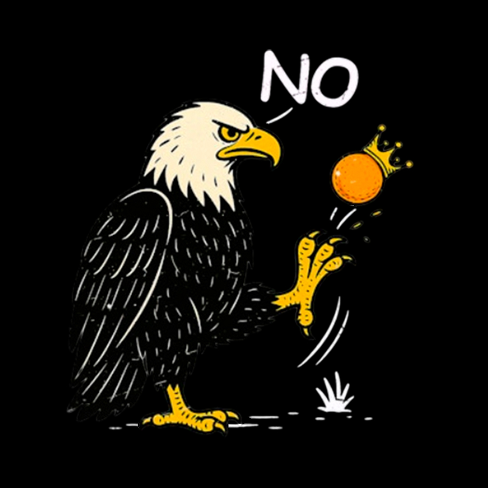 Funny No Kings V-Neck Classic T-Shirt