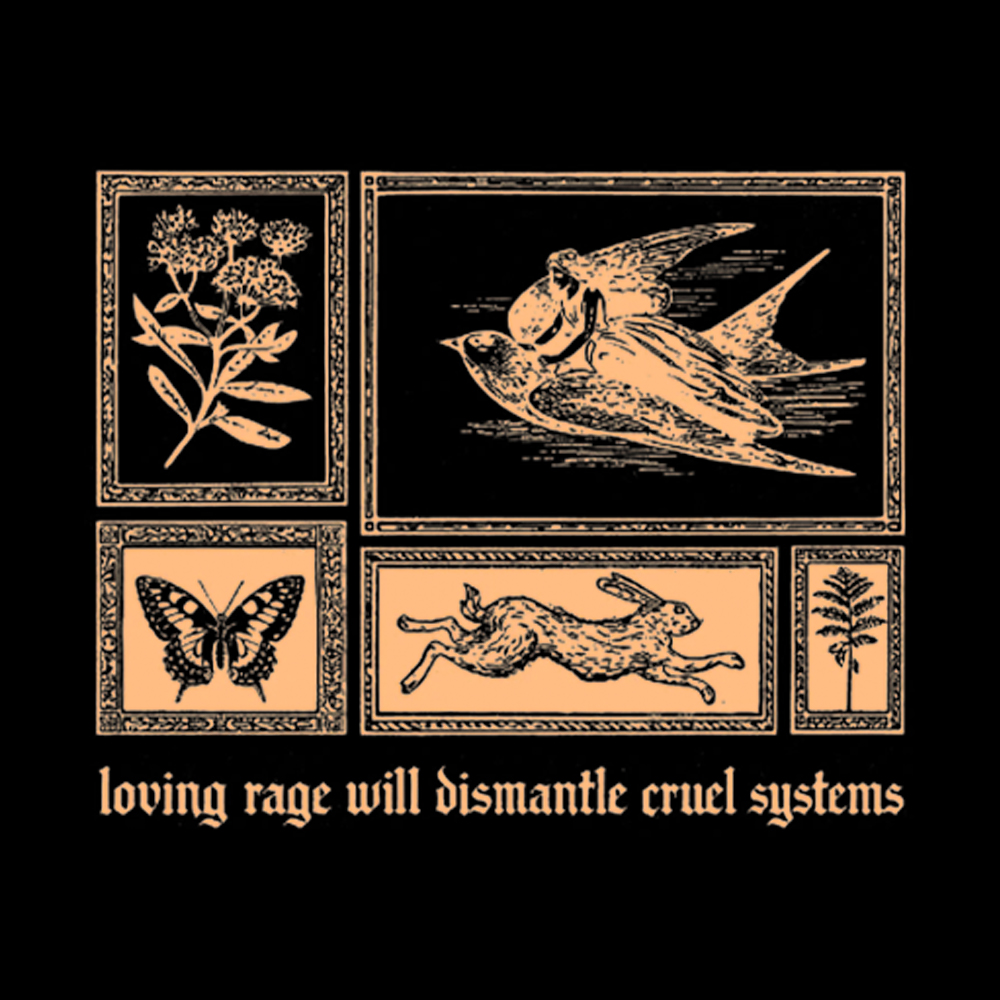 Loving Rage will Dismantle Cruel Systems of Oppression Classic T-Shirt