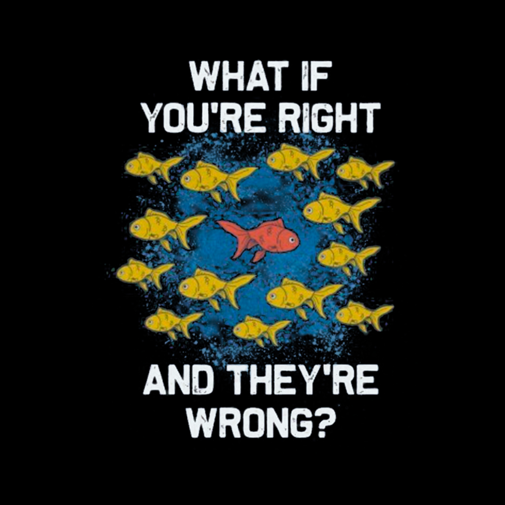What If You're Right They're Wrong Classic T-Shirt