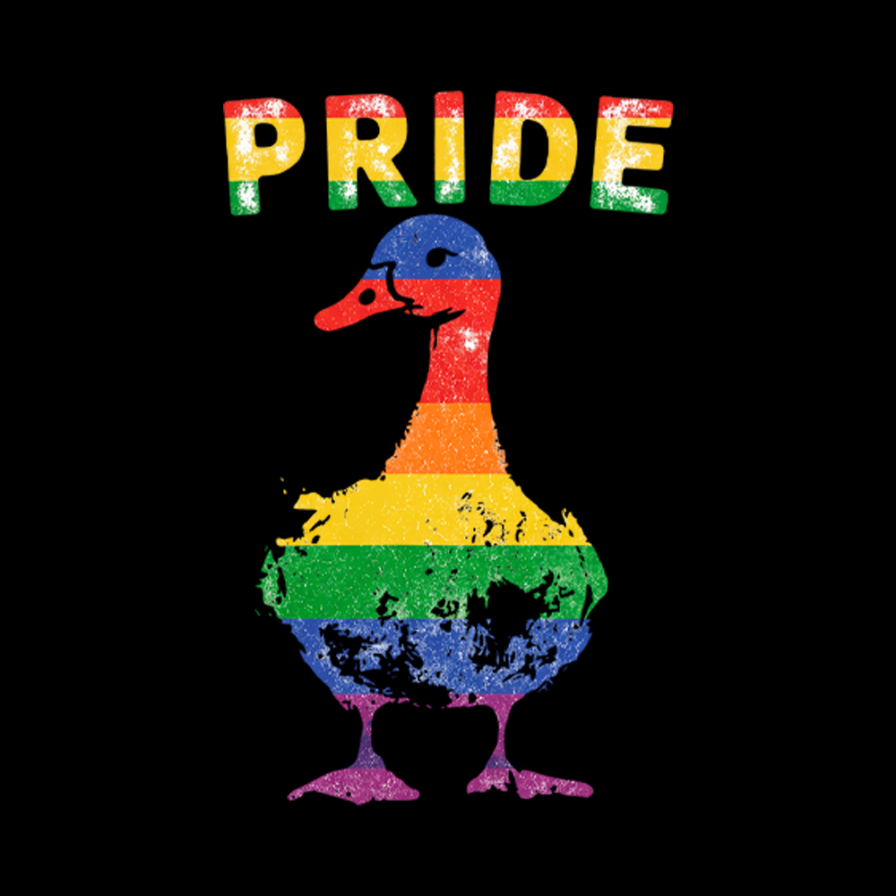 Pride Goose Washed T-Shirt