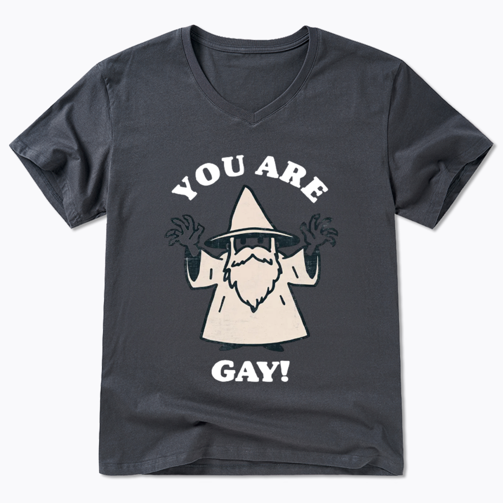 You Are Gay V-Neck Classic T-Shirt