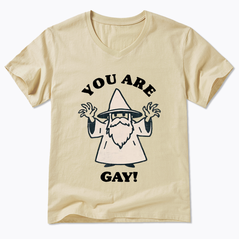 You Are Gay V-Neck Classic T-Shirt