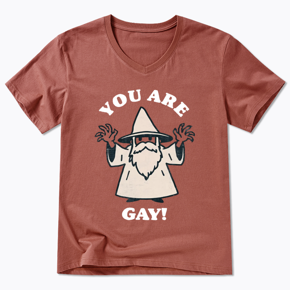 You Are Gay V-Neck Classic T-Shirt