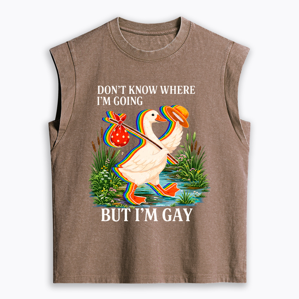 I Don’t Know Where I’m Going But I’m Gay Women's Washed Tank Top