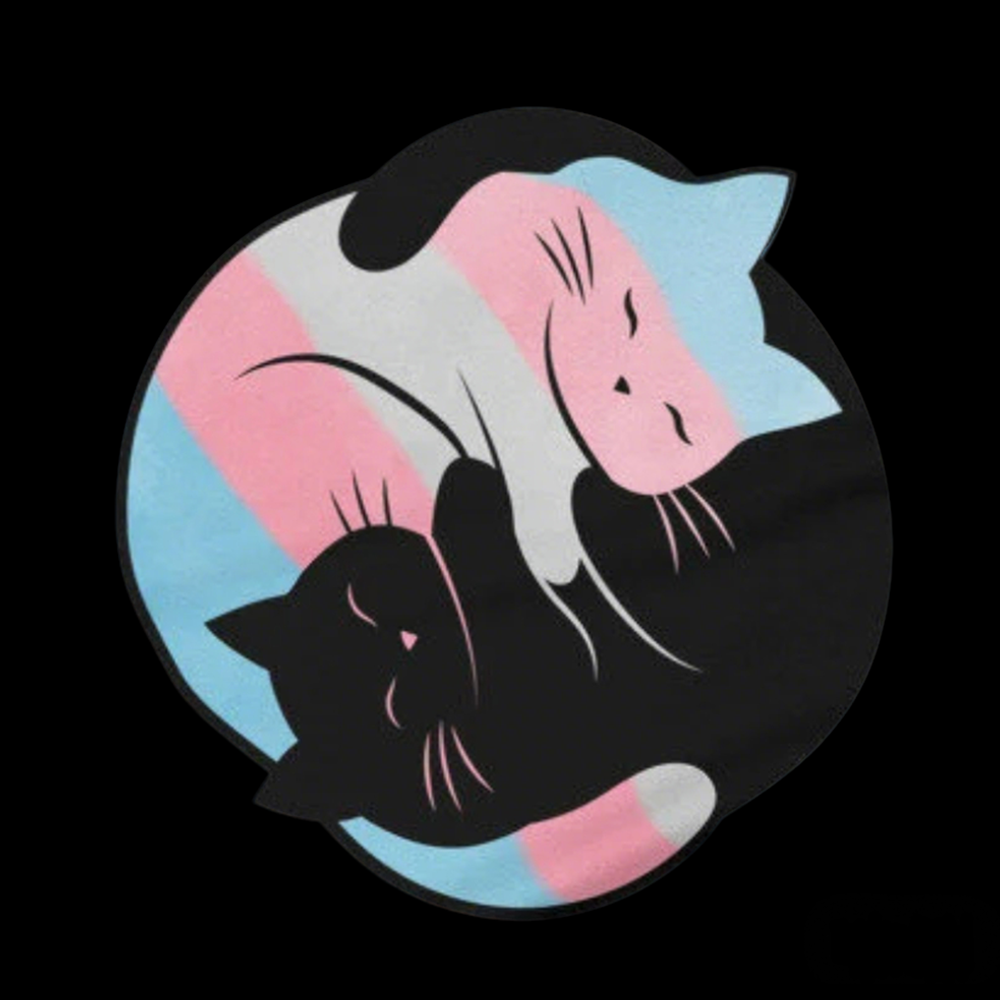 Yin Yang Cat Washed T-Shirts