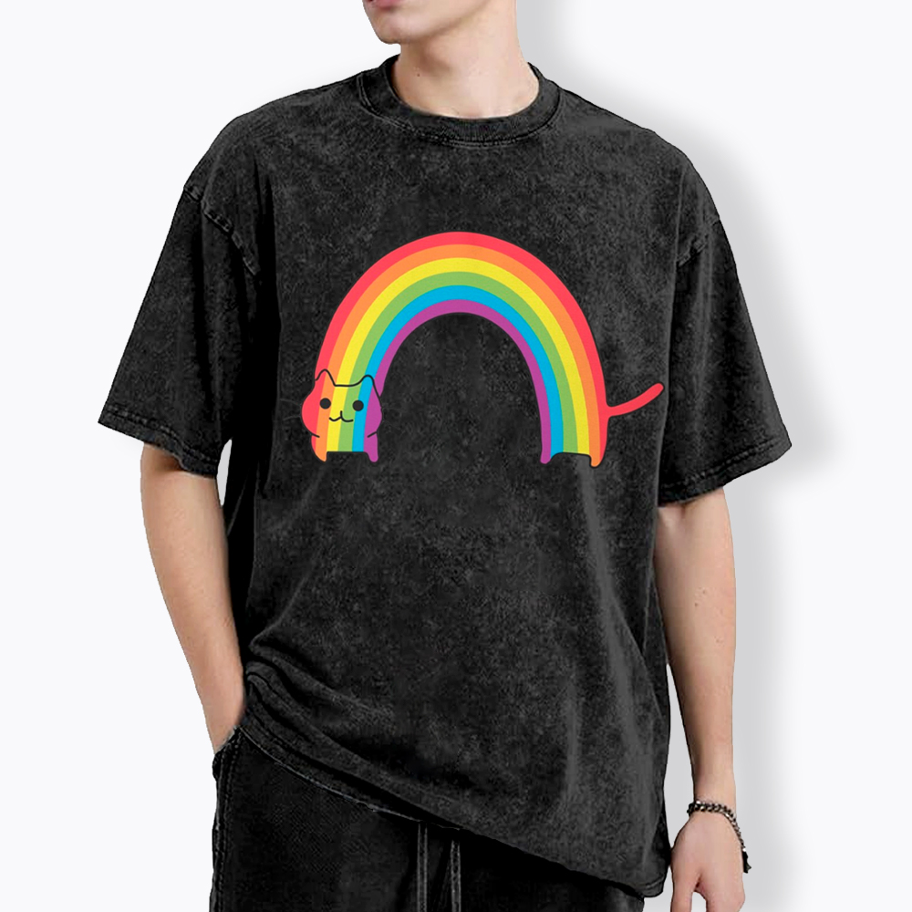 Rainbow Cat Washed T-Shirt