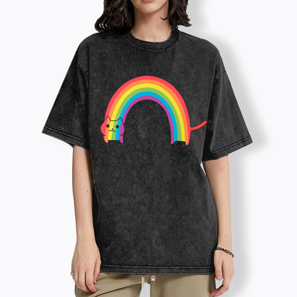 Rainbow Cat Washed T-Shirt