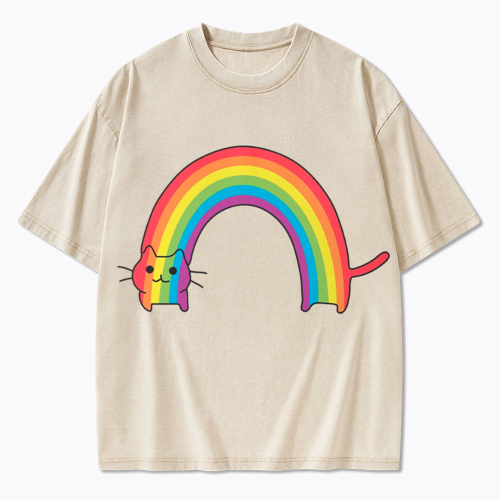 Rainbow Cat Washed T-Shirt